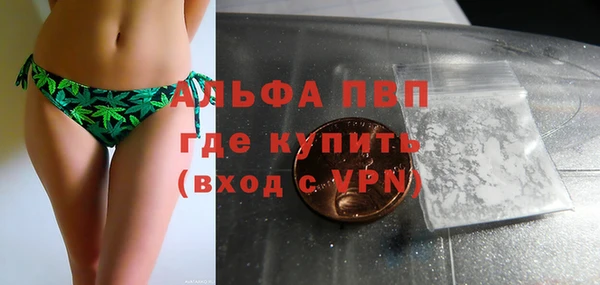 сатива Нязепетровск