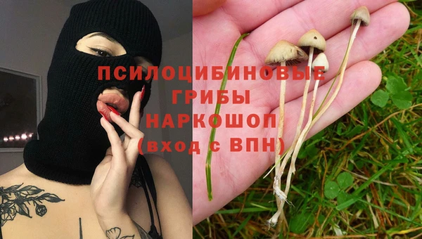 скорость Няндома
