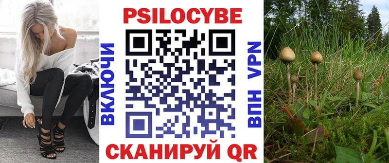 Псилоцибиновые грибы Cubensis  купить наркоту  гидра зеркало  Сокол 